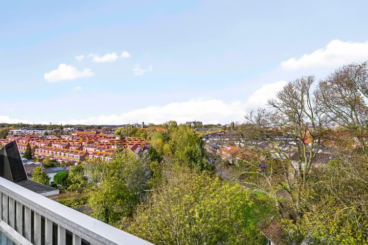 Foto 3 van Vondelstaete 560