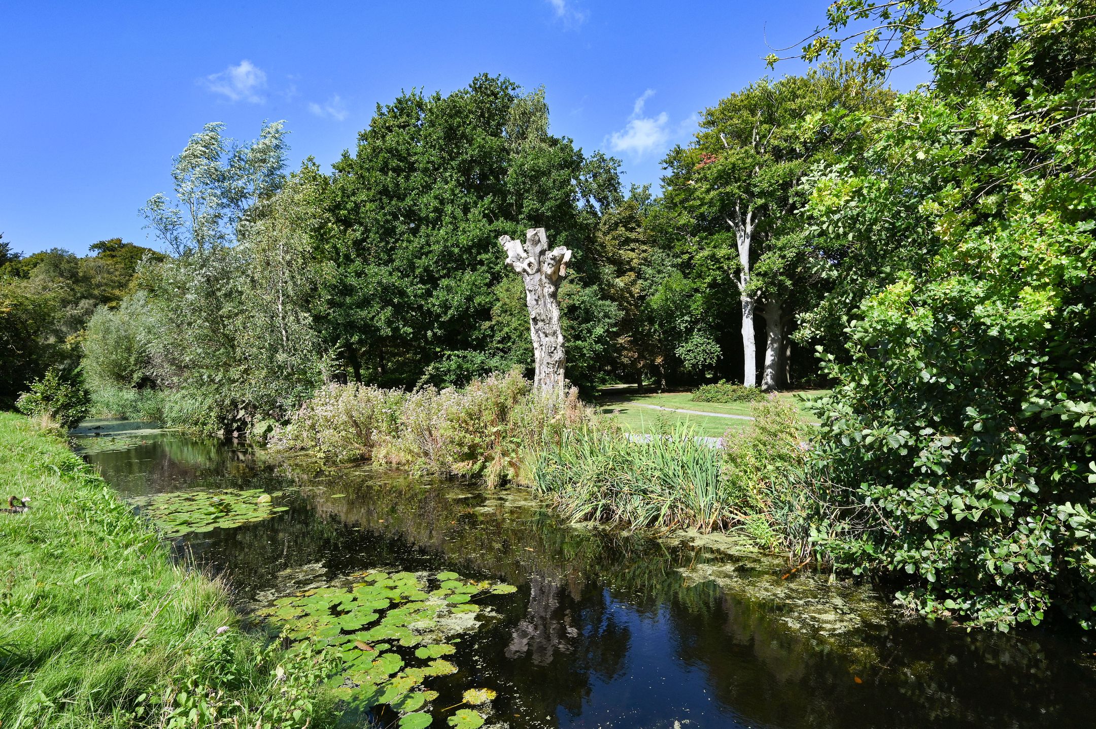 Foto 42 van Hanso Idzerdapad 19