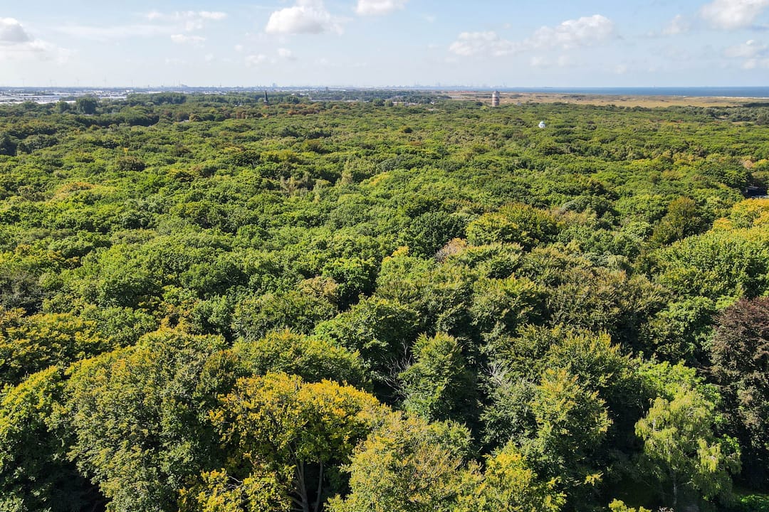 Foto 43 van Hanso Idzerdapad 19