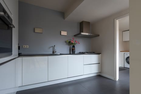 Staartmees 26 tertiary image