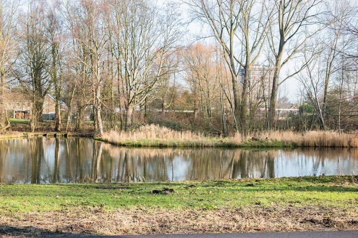 Foto 42 van Hooiven 15