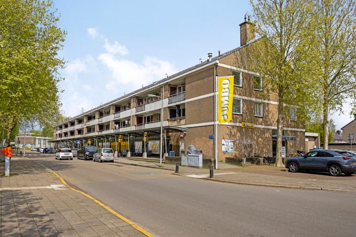 Photo 31 of Ganzenstraat 152