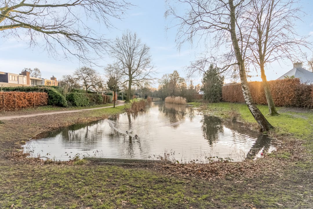 Foto 47 van Wildenborg 64