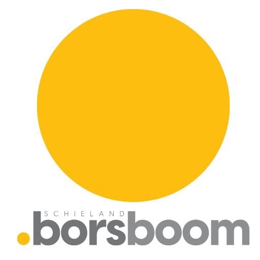 Schieland Borsboom NVM Makelaars