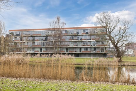 Johan de Wittstraat thumbnail