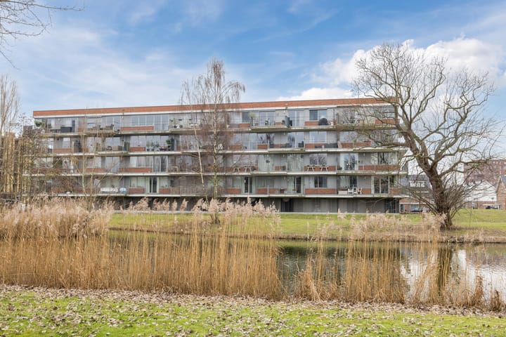 Johan de Wittstraat 161