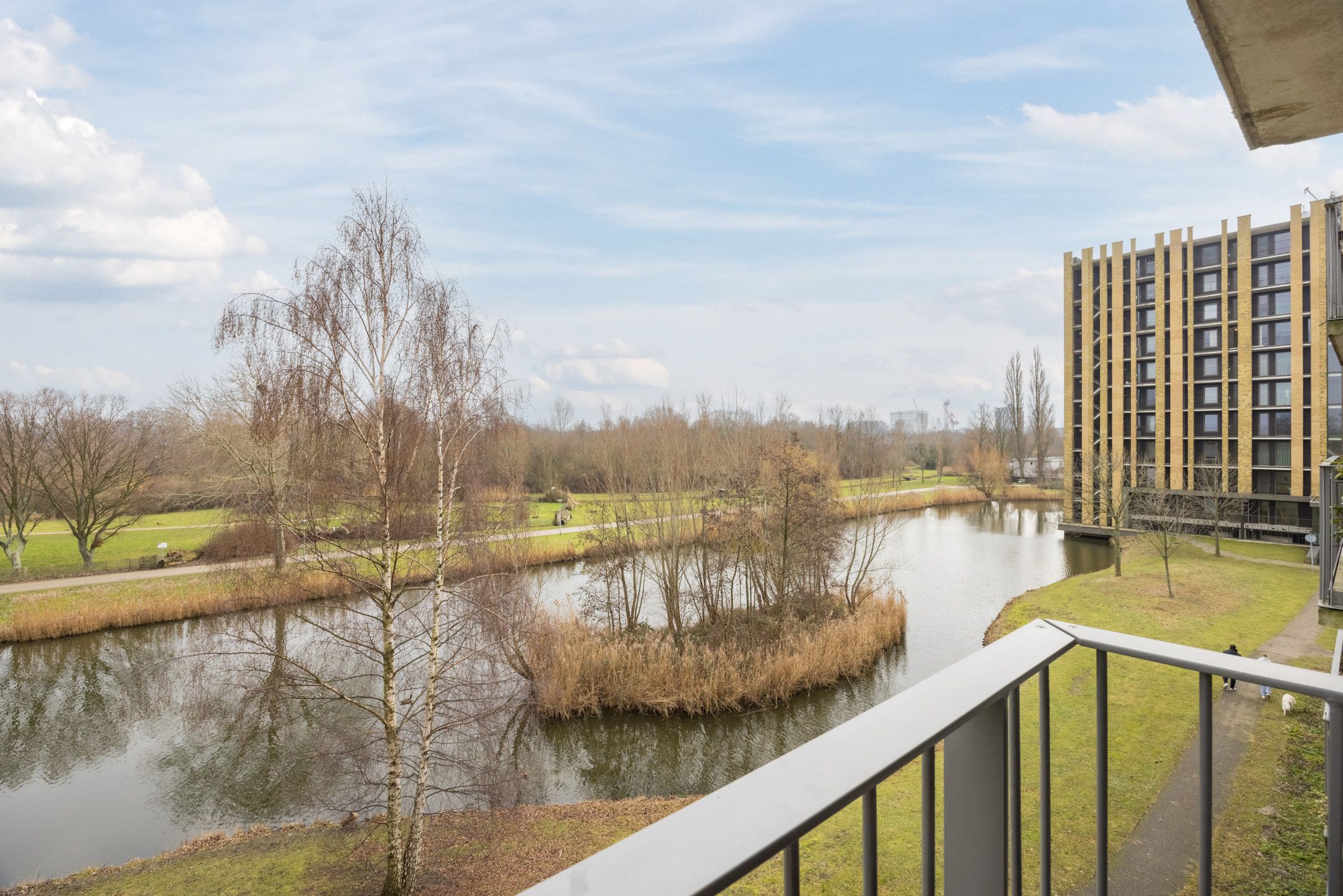 Foto 15 van Johan de Wittstraat 161