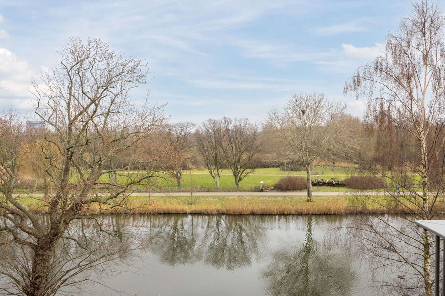 Foto 20 van Johan de Wittstraat 161