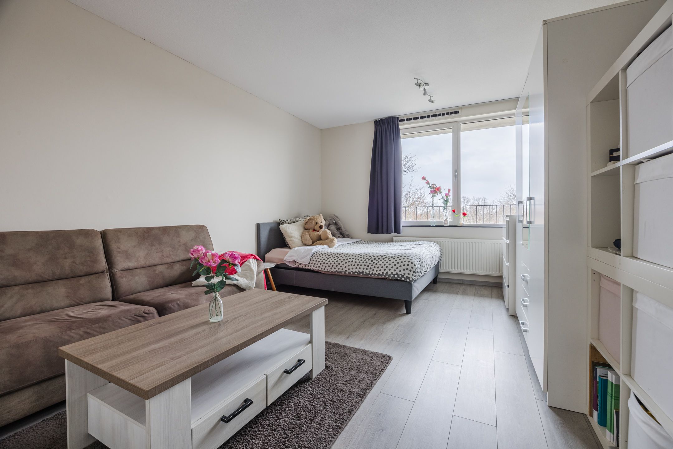 Foto 24 van Johan de Wittstraat 161