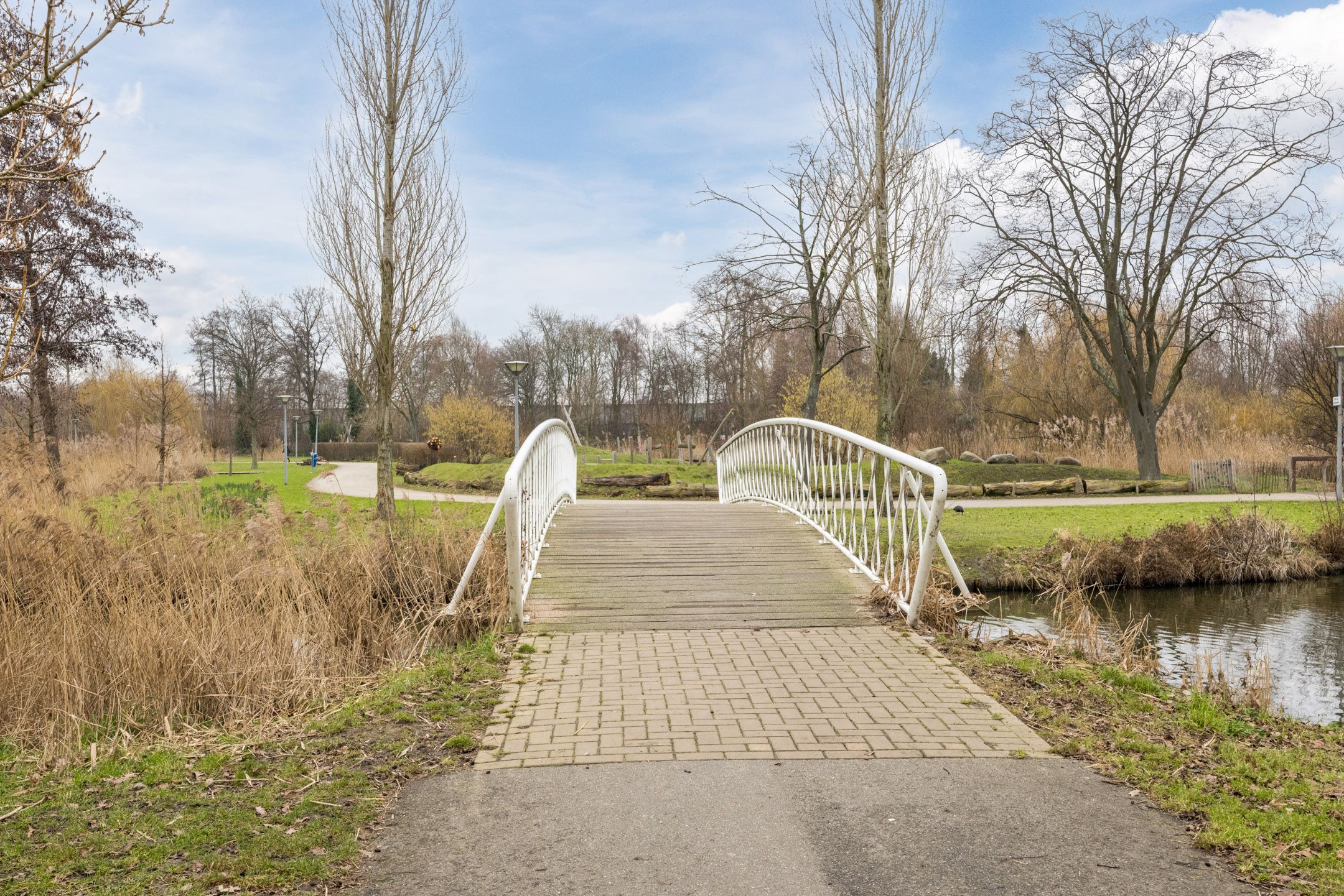 Foto 42 van Johan de Wittstraat 161