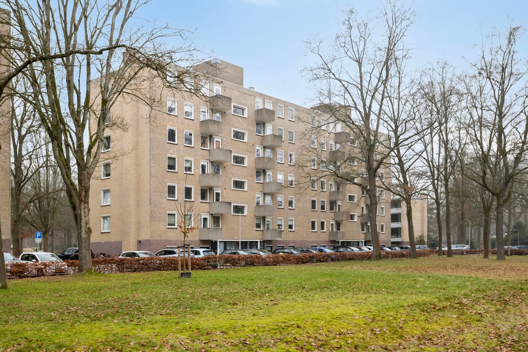 Foto 1 van Friezenlaan 196
