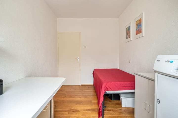 Foto 46 van Friezenlaan 196