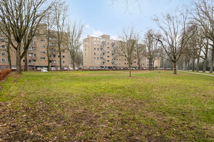 Foto 56 van Friezenlaan 196