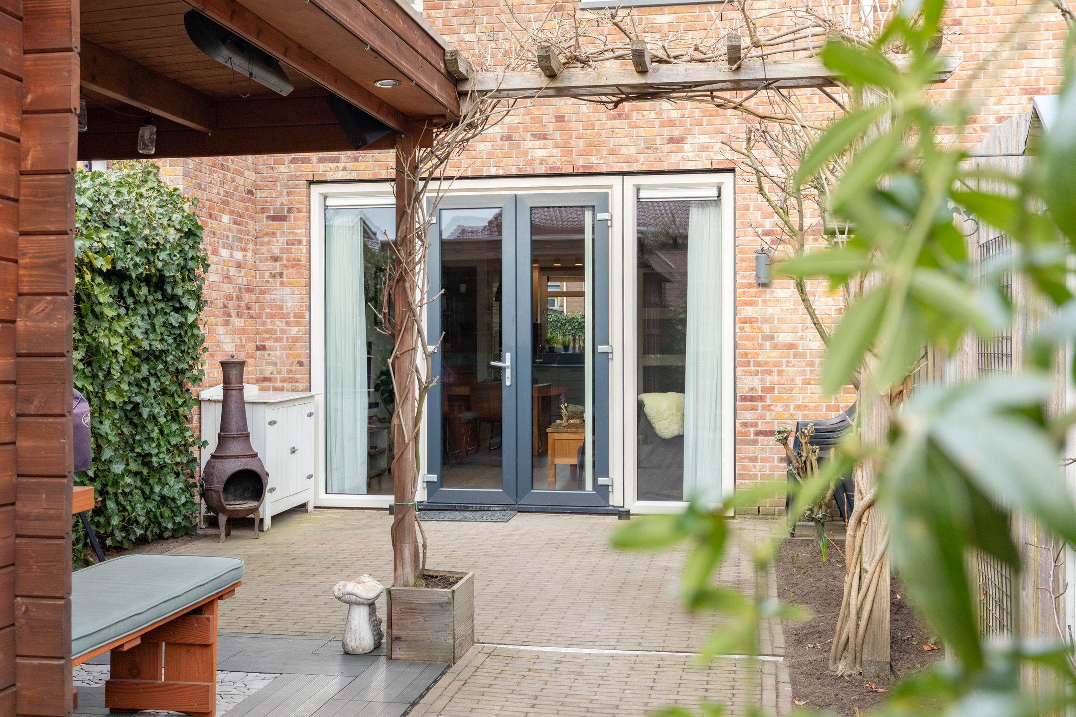 Photo 39 of Aardbei 11