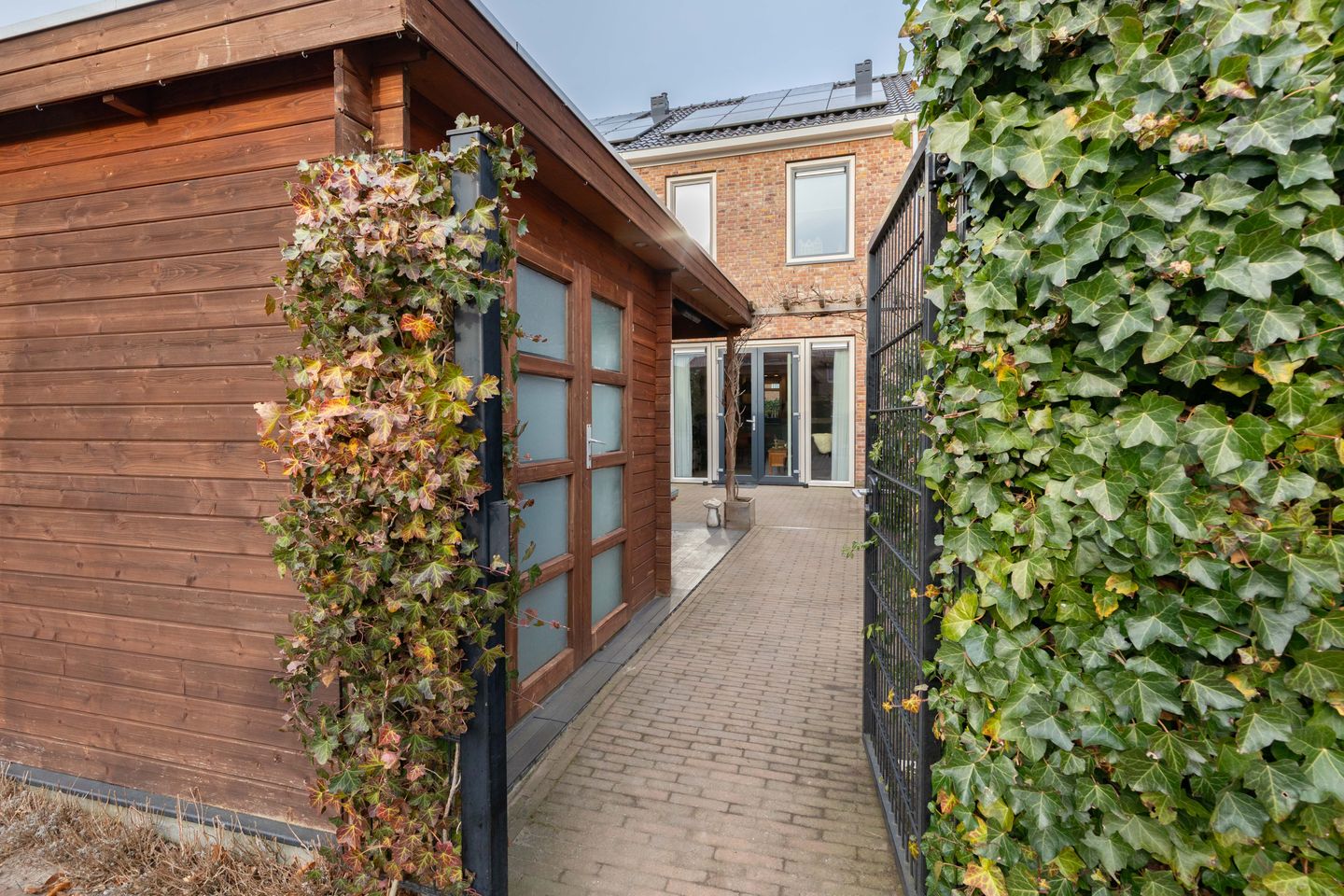 Photo 40 of Aardbei 11