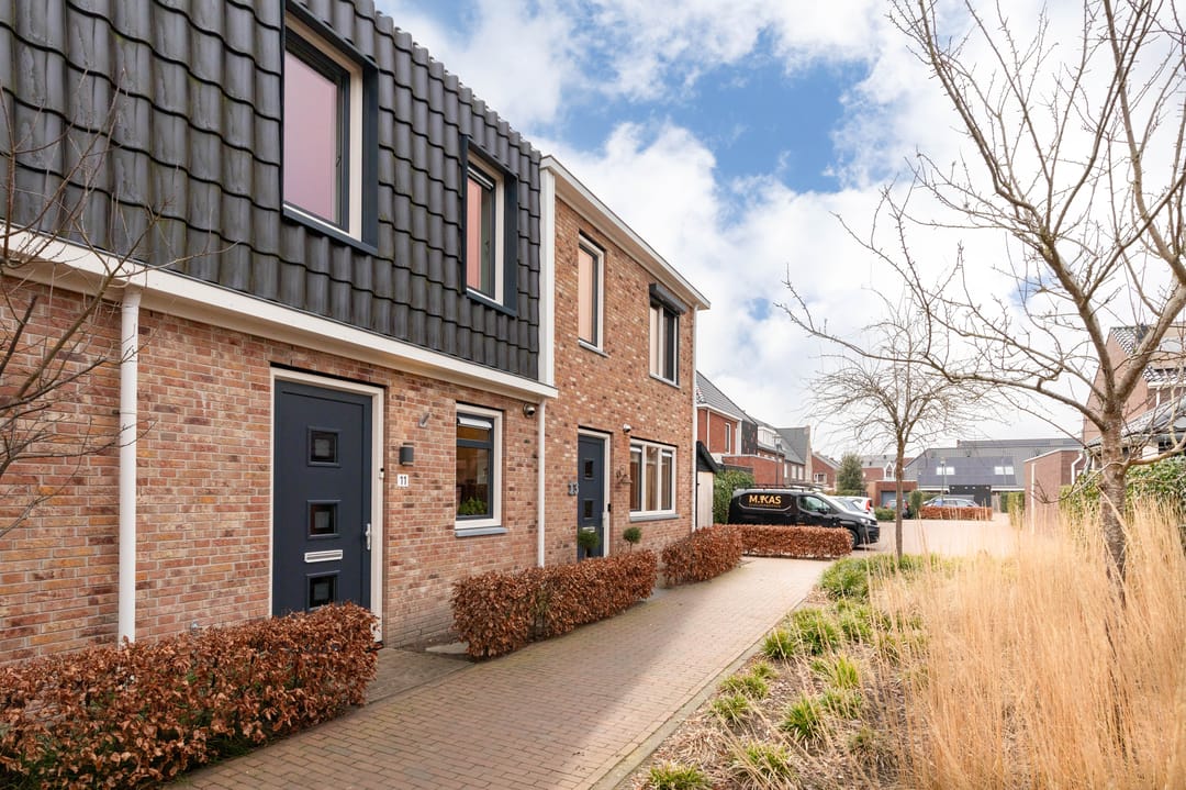 Photo 41 of Aardbei 11