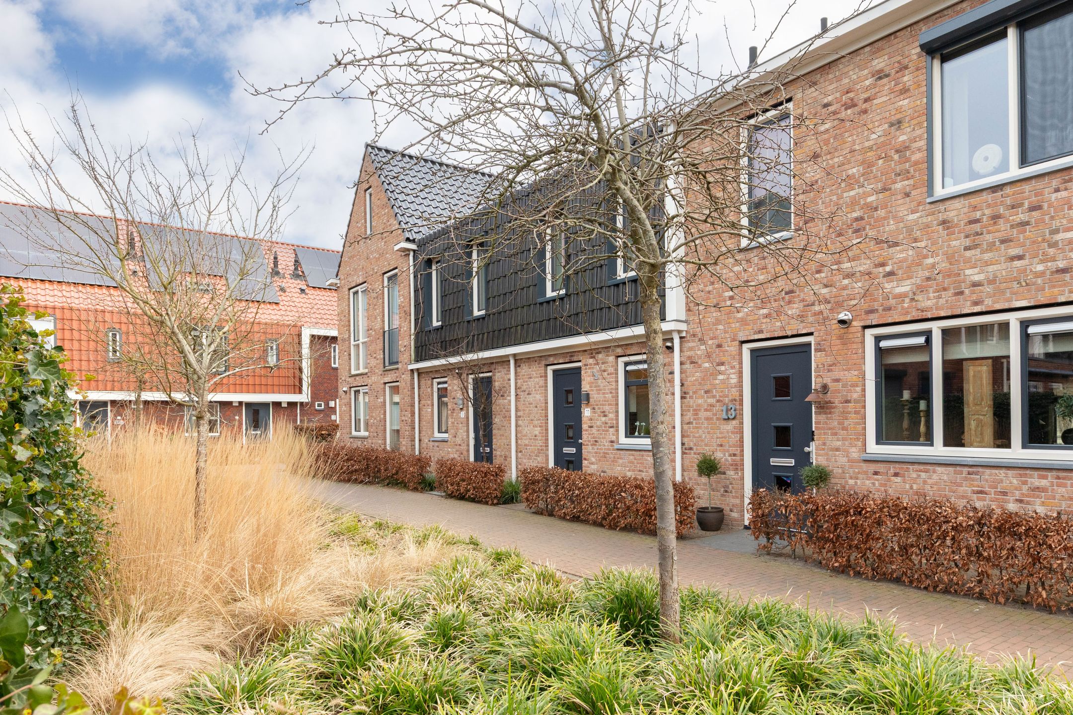 Photo 42 of Aardbei 11