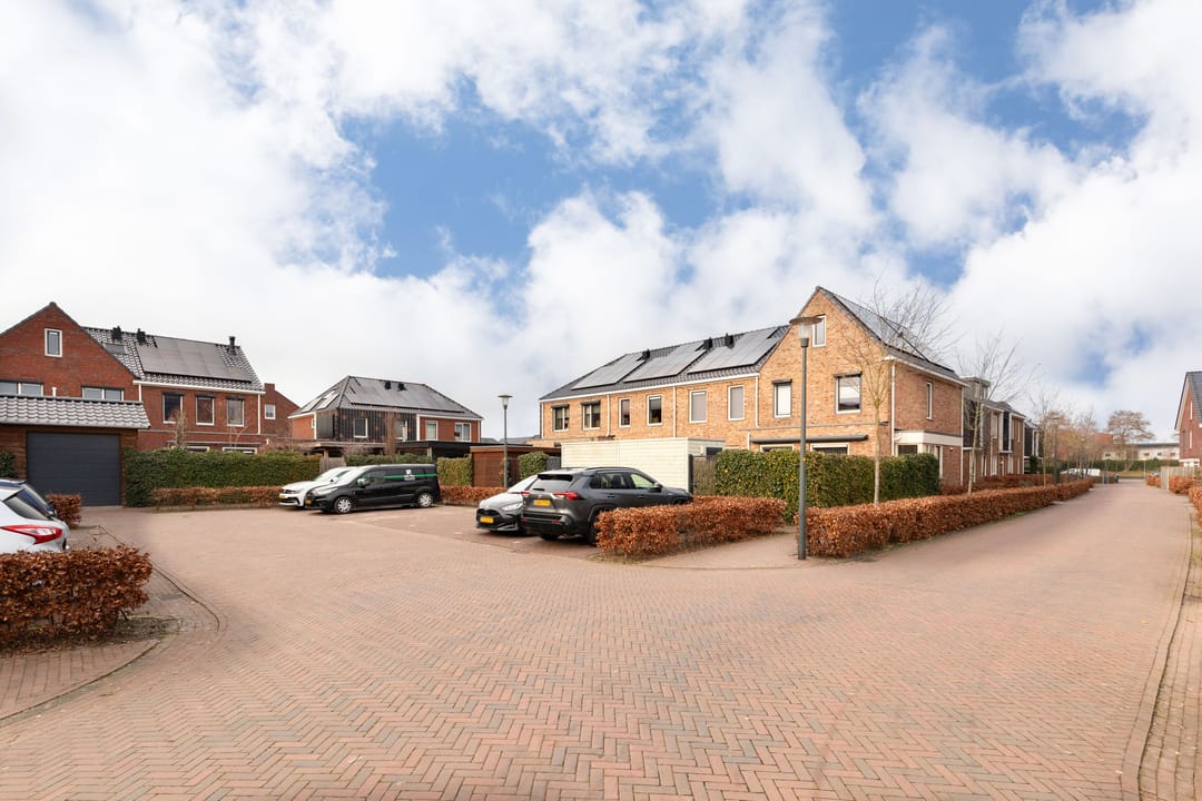 Photo 43 of Aardbei 11