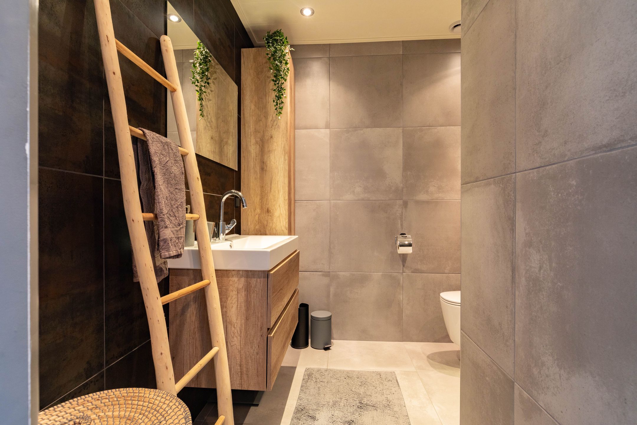 Photo 27 of Aardbei 11