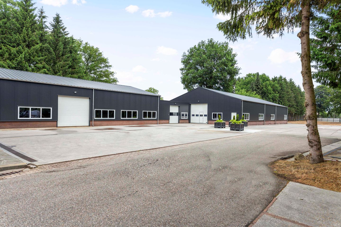 View photo 3 of Arnhemseweg 449