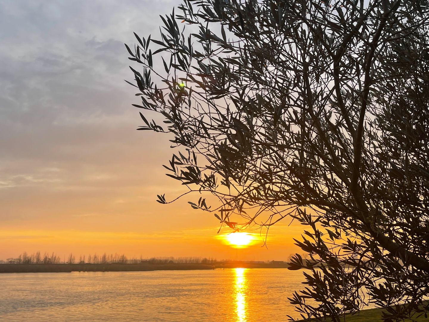 Foto 50 van De Werf 5