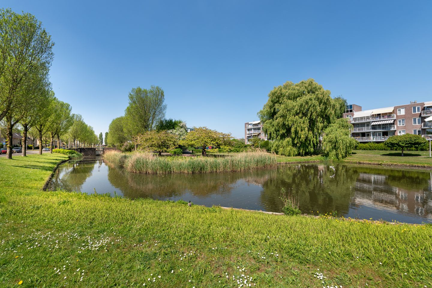 Foto 35 van Boschplaat 64