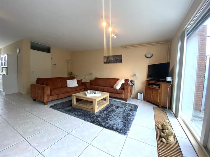 Foto 3 van Bruine Lijster 18