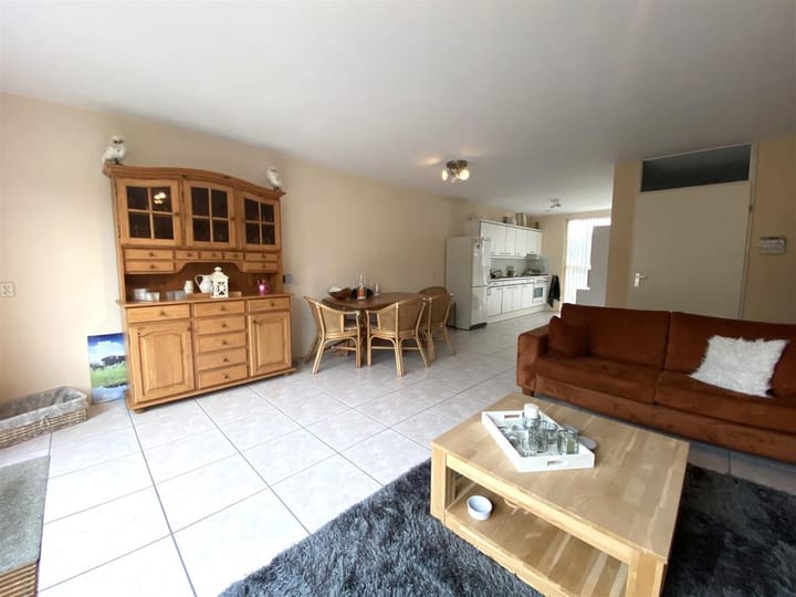 Foto 4 van Bruine Lijster 18