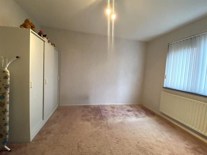 Foto 8 van Bruine Lijster 18