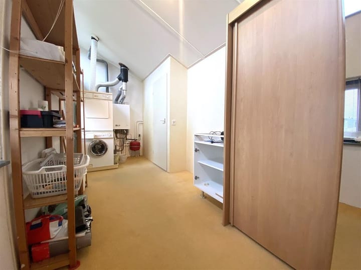 Foto 10 van Bruine Lijster 18