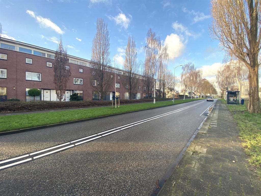 Foto 1 van Bruine Lijster 18