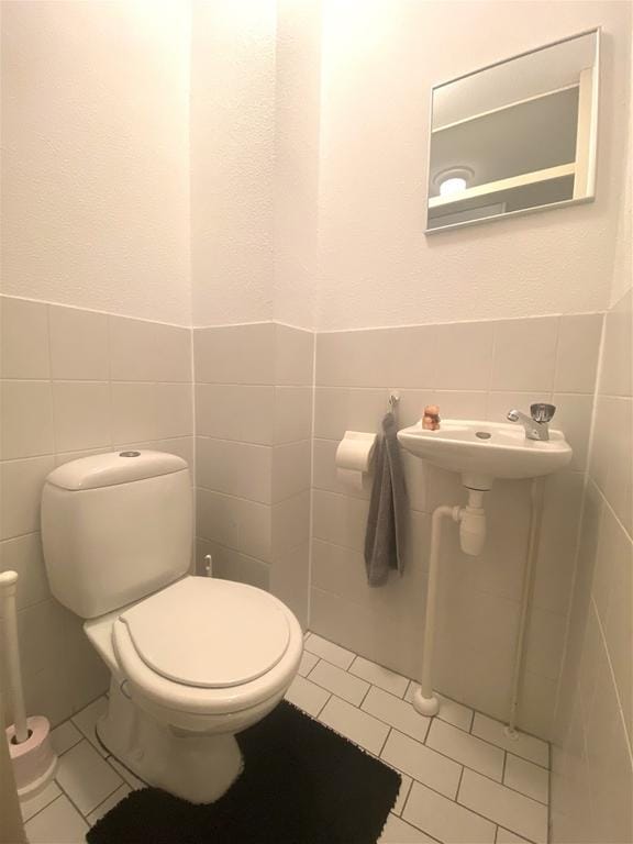 Foto 13 van Bruine Lijster 18