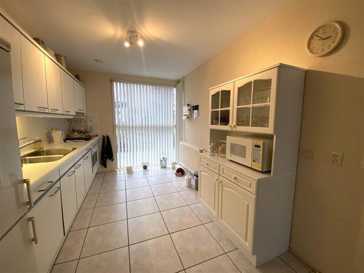 Foto 6 van Bruine Lijster 18