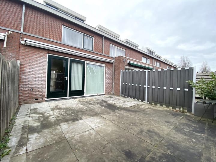 Foto 15 van Bruine Lijster 18