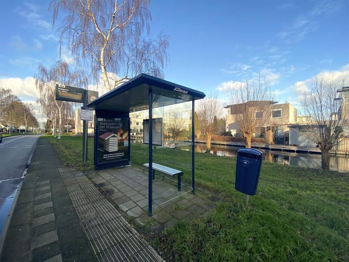 Foto 17 van Bruine Lijster 18