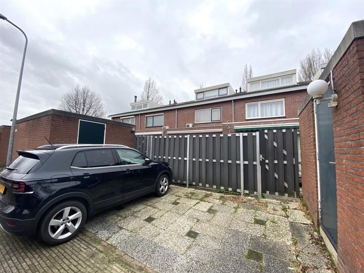 Foto 16 van Bruine Lijster 18