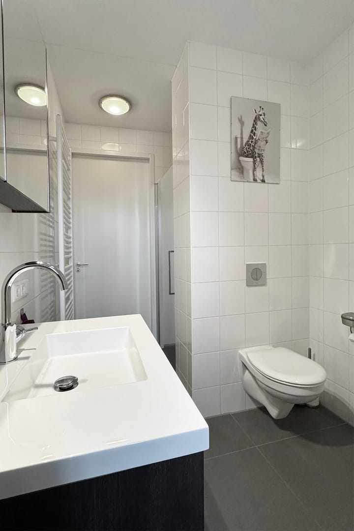 Photo 46 of Sterappel 14