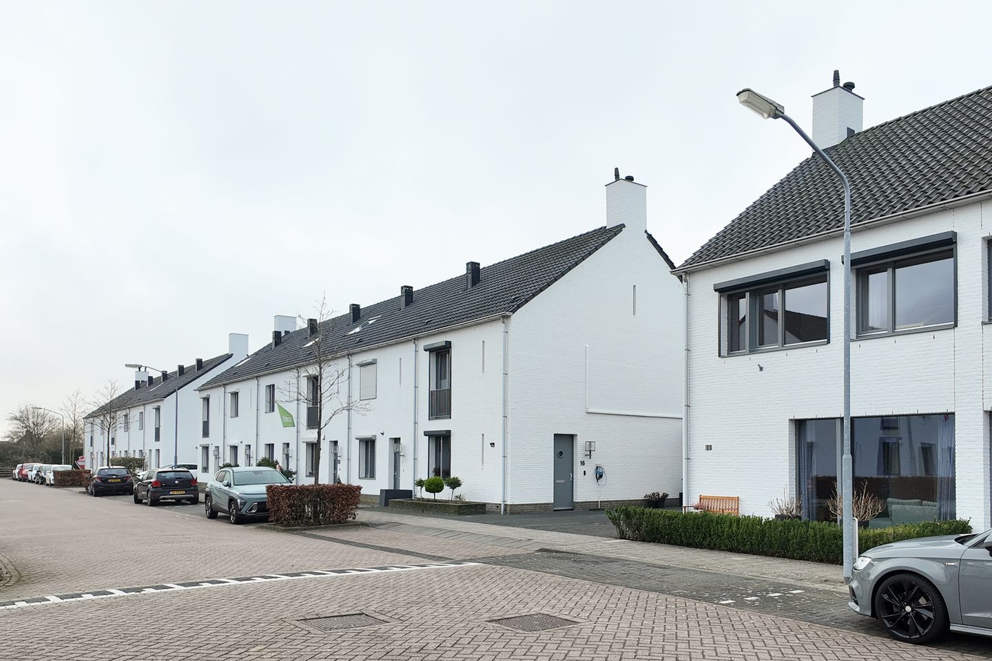 Photo 64 of Sterappel 14