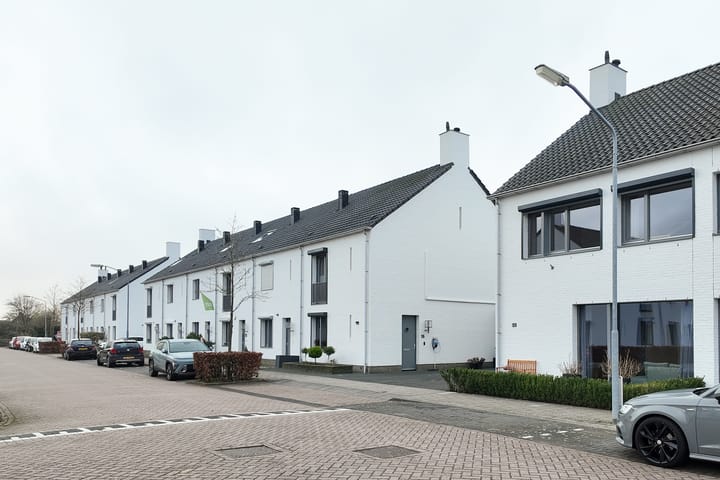 Photo 64 of Sterappel 14