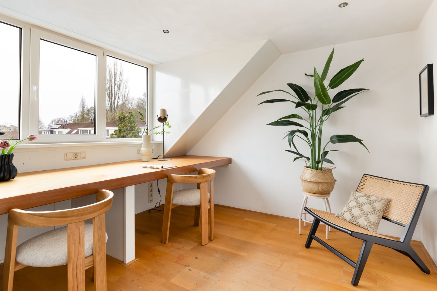 Foto 20 van Eenhoorn 32