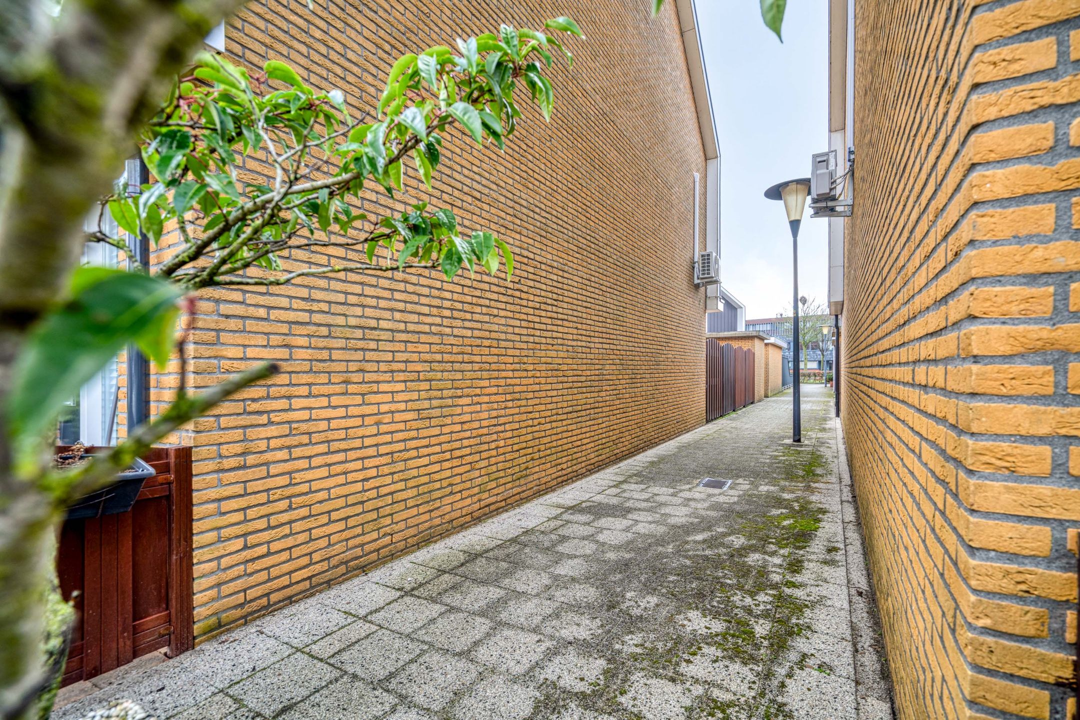 Photo 15 of Tarnstroom 17