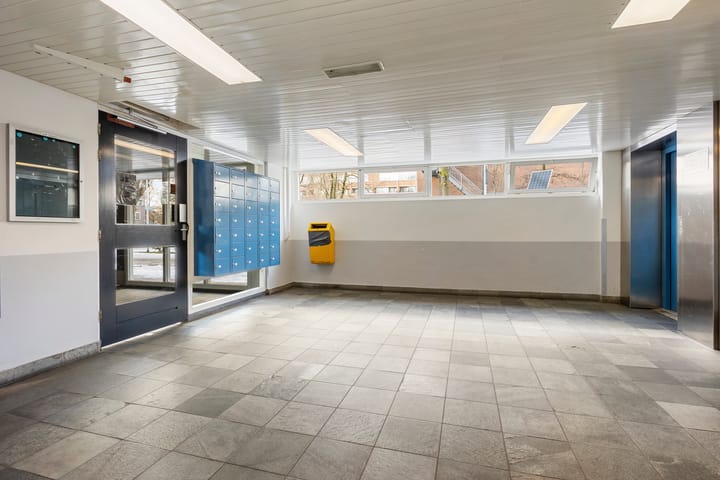 Foto 5 van Lokhorst 131