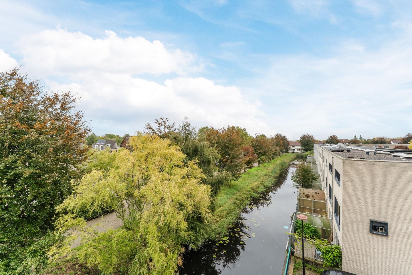 Foto 19 van Noorderlicht 49