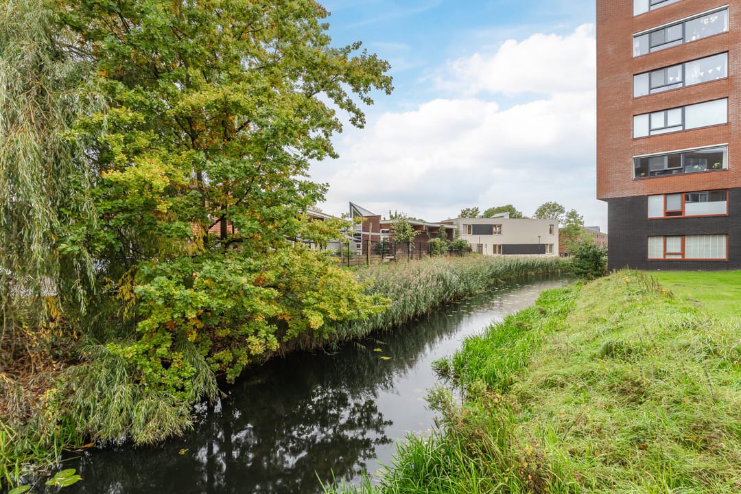 Foto 31 van Noorderlicht 49