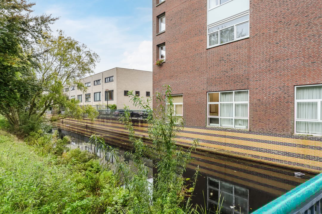 Foto 32 van Noorderlicht 49