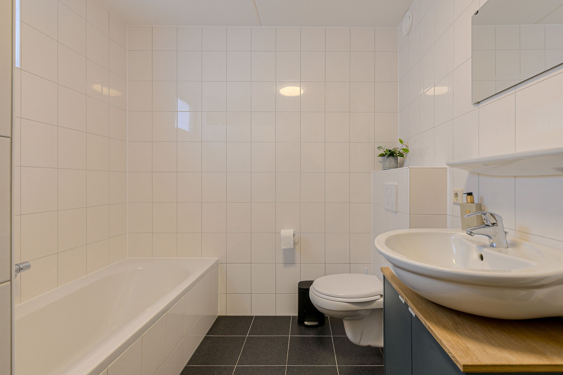 Foto 30 van Willem Dreeslaan 47