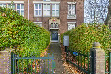 Oppenheimplein 8-A tertiary image