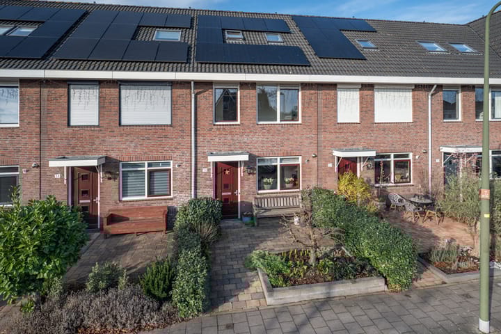 Groene Loper 36 main image