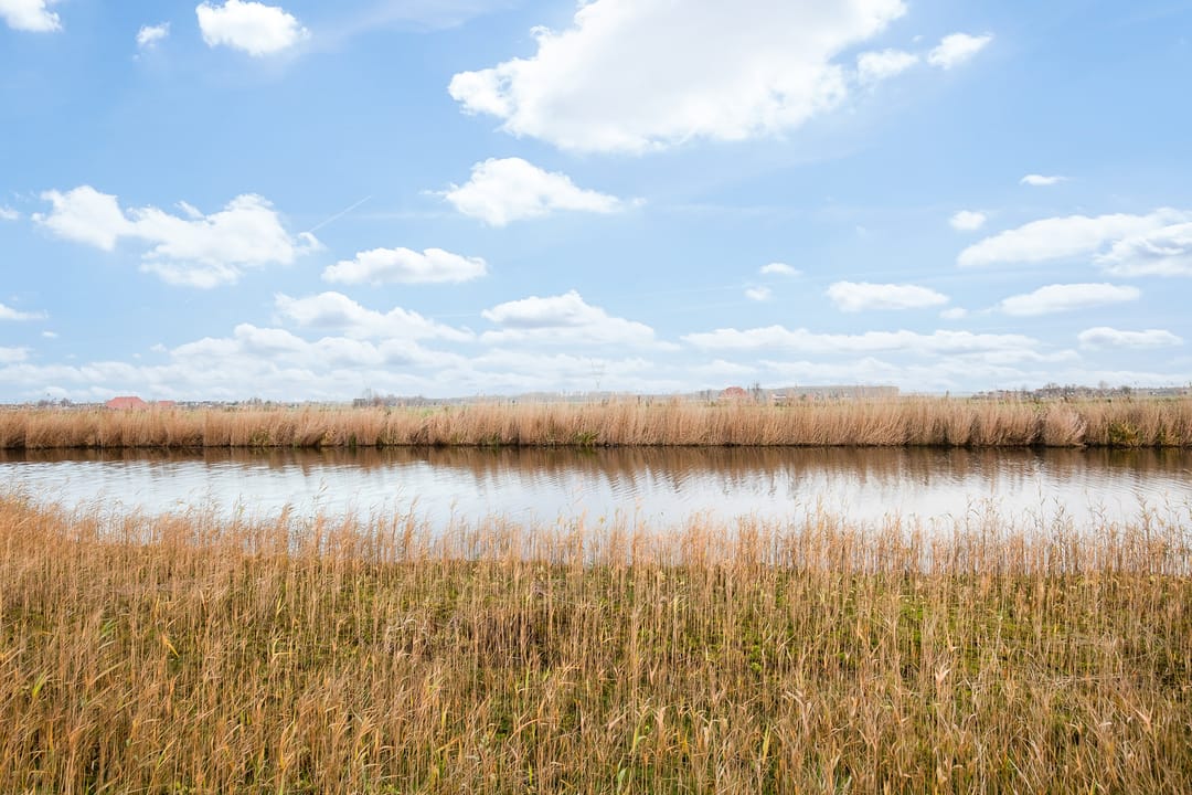 Foto 23 van Monnickendammerrijweg 51