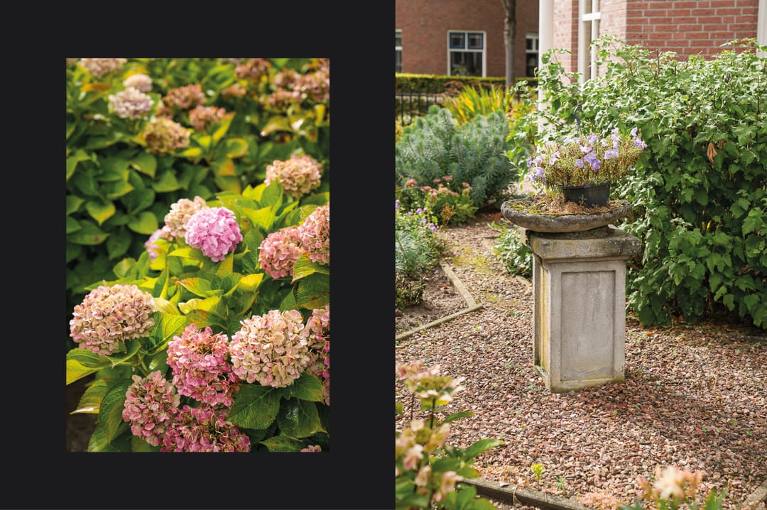 Foto 52 van Kruidenlaan 13